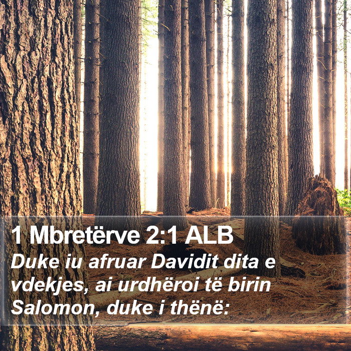 1 Mbretërve 2:1 ALB Bible Study