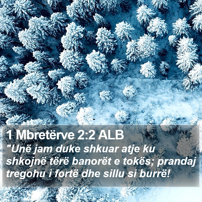 1 Mbretërve 2:2 ALB Bible Study