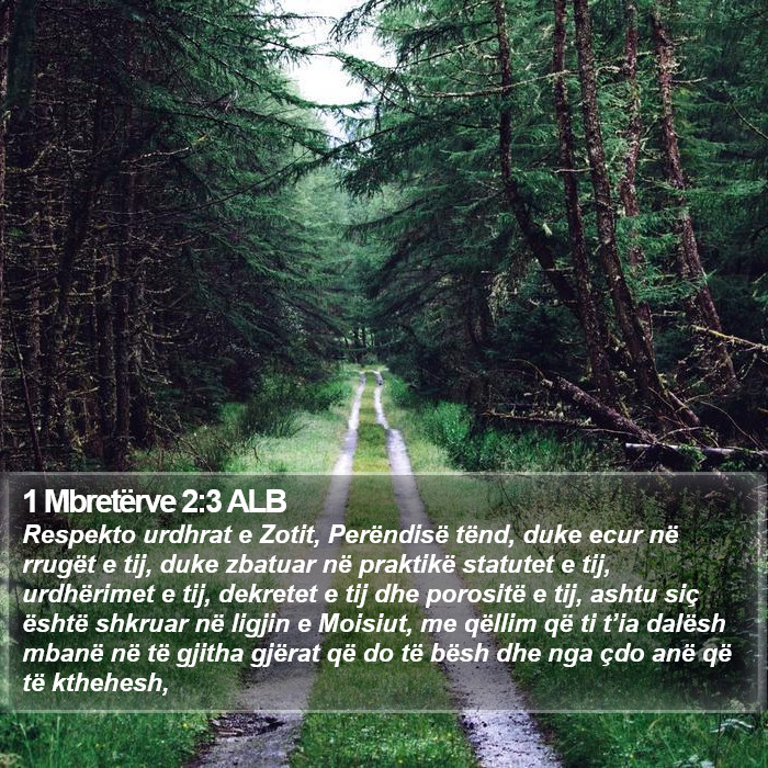 1 Mbretërve 2:3 ALB Bible Study