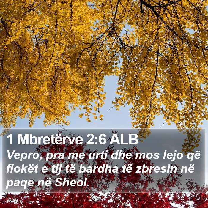 1 Mbretërve 2:6 ALB Bible Study