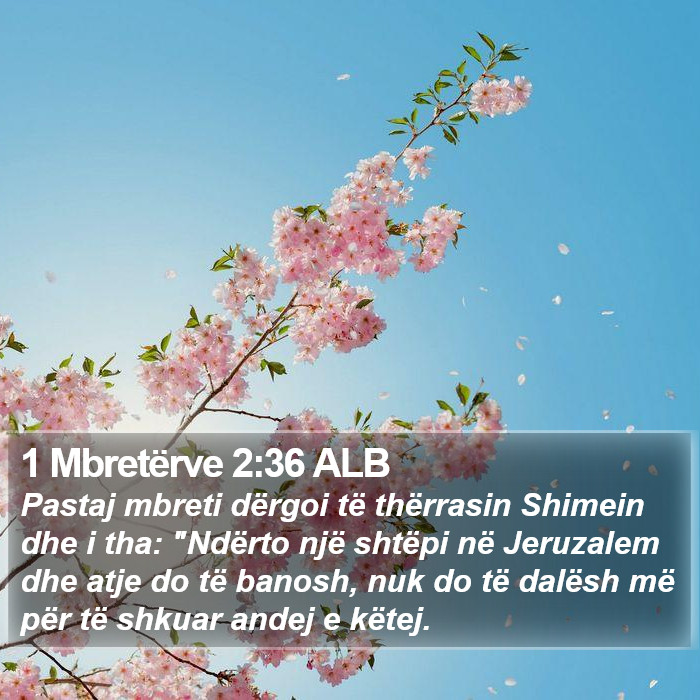 1 Mbretërve 2:36 ALB Bible Study