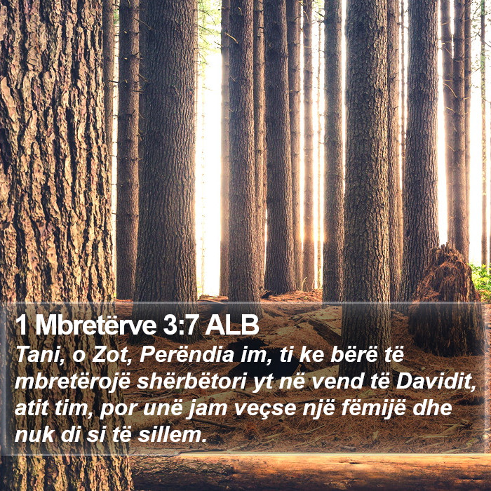 1 Mbretërve 3:7 ALB Bible Study