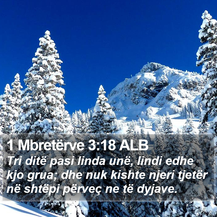 1 Mbretërve 3:18 ALB Bible Study