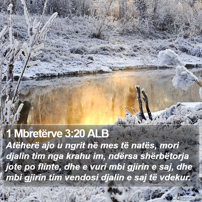 1 Mbretërve 3:20 ALB Bible Study