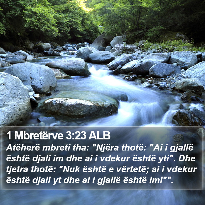 1 Mbretërve 3:23 ALB Bible Study