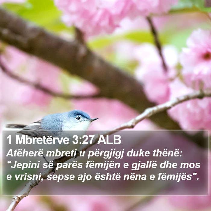 1 Mbretërve 3:27 ALB Bible Study