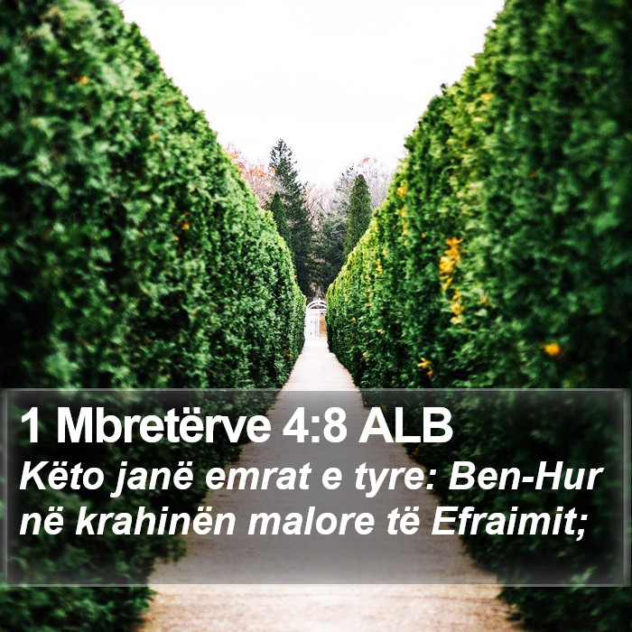 1 Mbretërve 4:8 ALB Bible Study