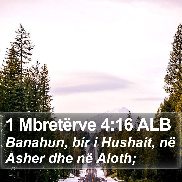 1 Mbretërve 4:16 ALB Bible Study