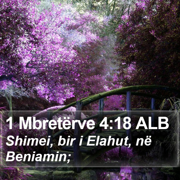 1 Mbretërve 4:18 ALB Bible Study