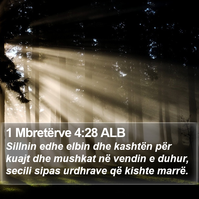 1 Mbretërve 4:28 ALB Bible Study