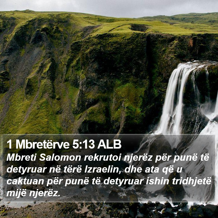 1 Mbretërve 5:13 ALB Bible Study