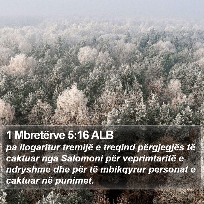 1 Mbretërve 5:16 ALB Bible Study