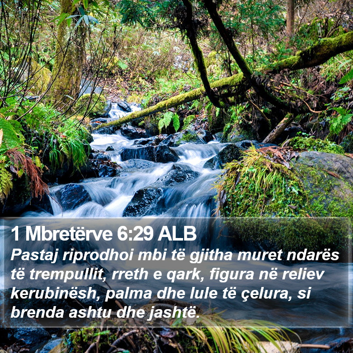 1 Mbretërve 6:29 ALB Bible Study