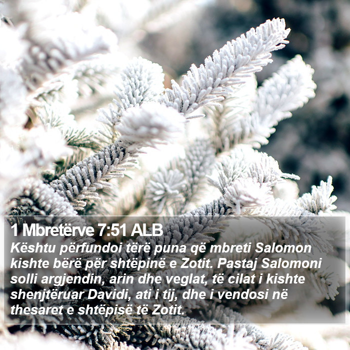 1 Mbretërve 7:51 ALB Bible Study