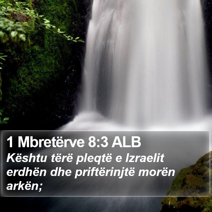 1 Mbretërve 8:3 ALB Bible Study
