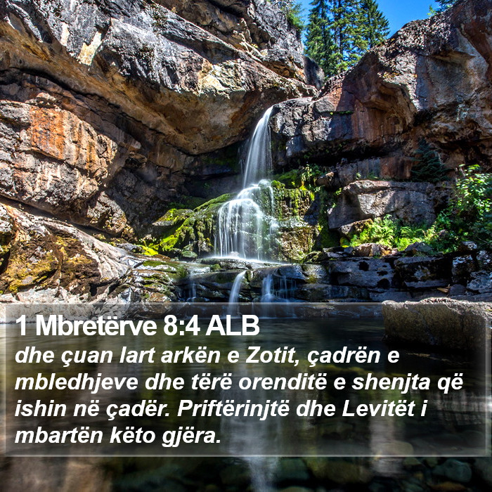 1 Mbretërve 8:4 ALB Bible Study