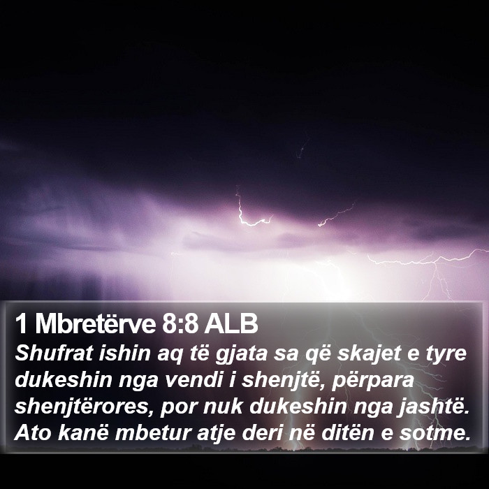 1 Mbretërve 8:8 ALB Bible Study