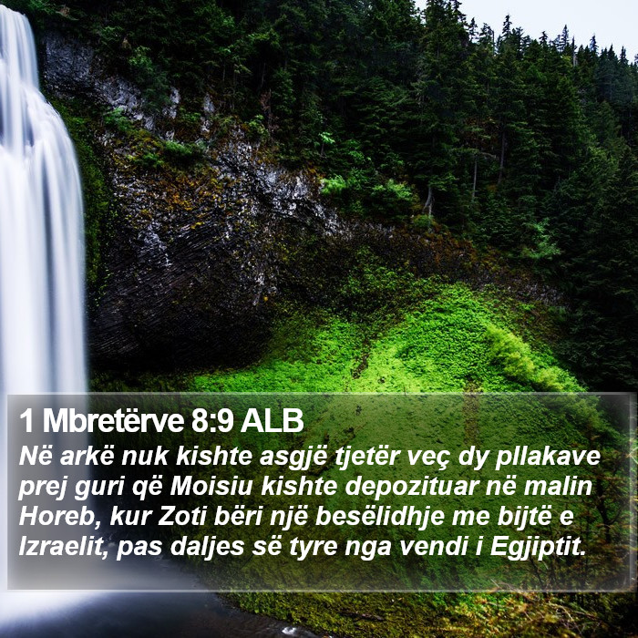 1 Mbretërve 8:9 ALB Bible Study