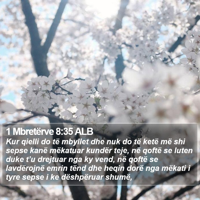 1 Mbretërve 8:35 ALB Bible Study