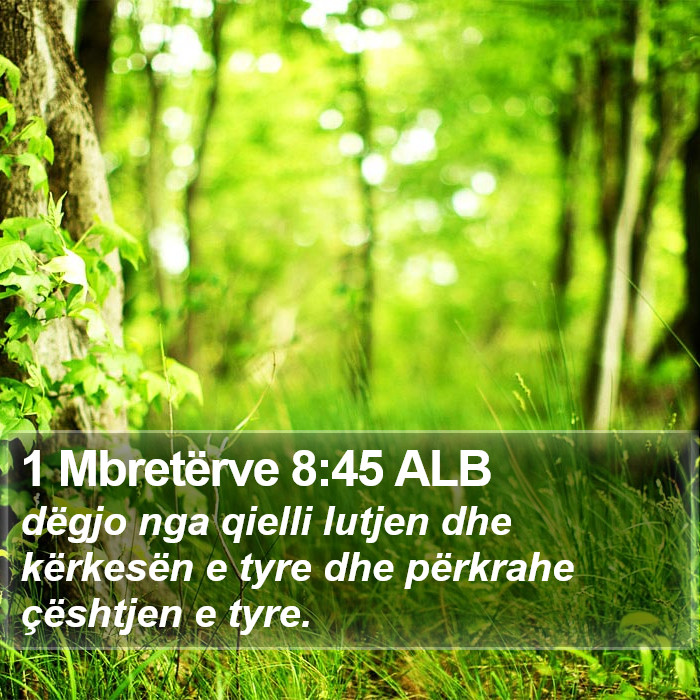 1 Mbretërve 8:45 ALB Bible Study
