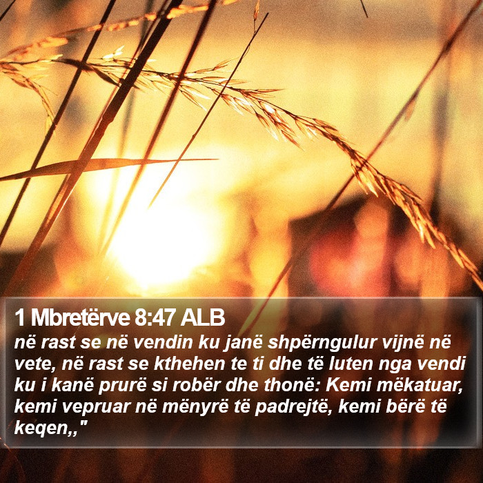 1 Mbretërve 8:47 ALB Bible Study