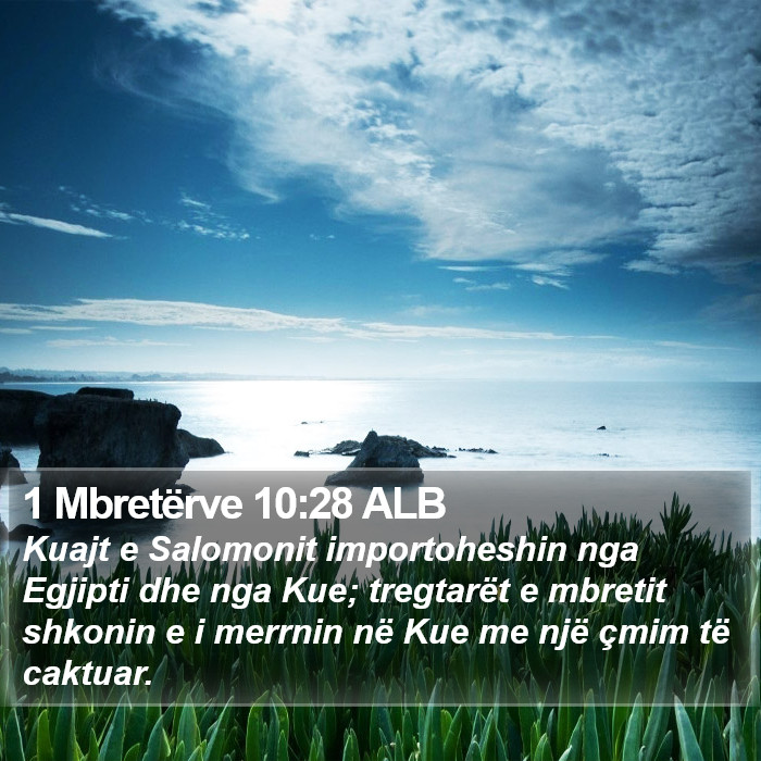 1 Mbretërve 10:28 ALB Bible Study