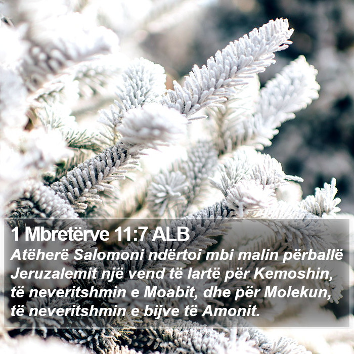 1 Mbretërve 11:7 ALB Bible Study