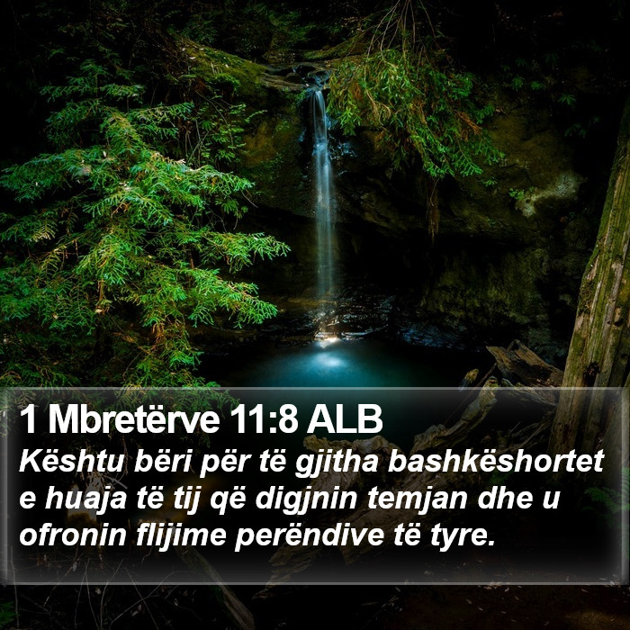 1 Mbretërve 11:8 ALB Bible Study