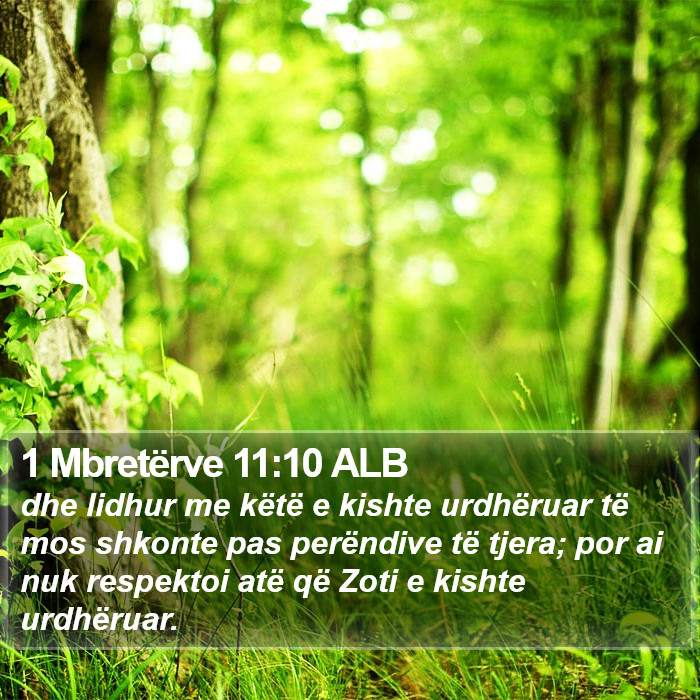 1 Mbretërve 11:10 ALB Bible Study