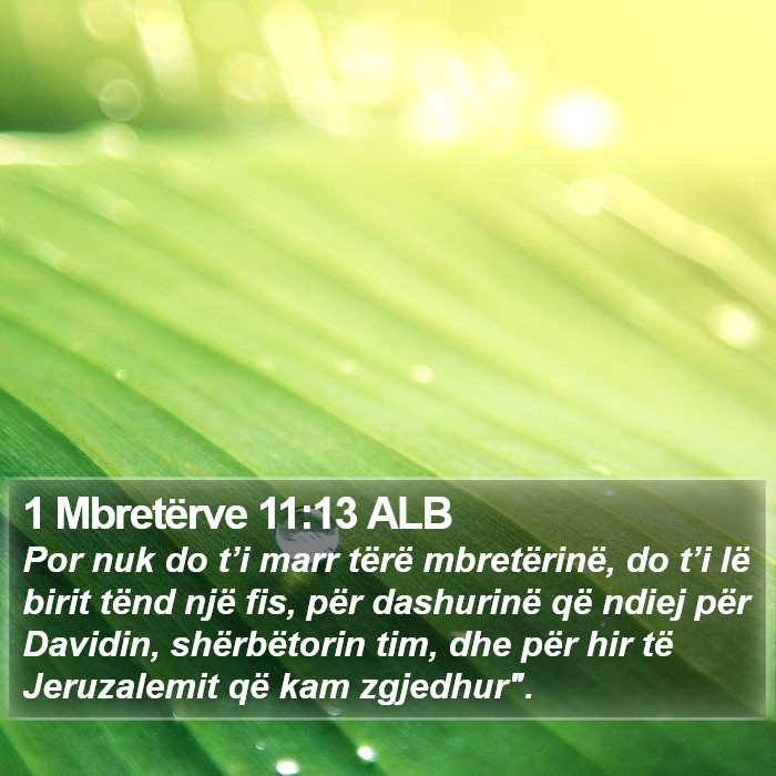 1 Mbretërve 11:13 ALB Bible Study