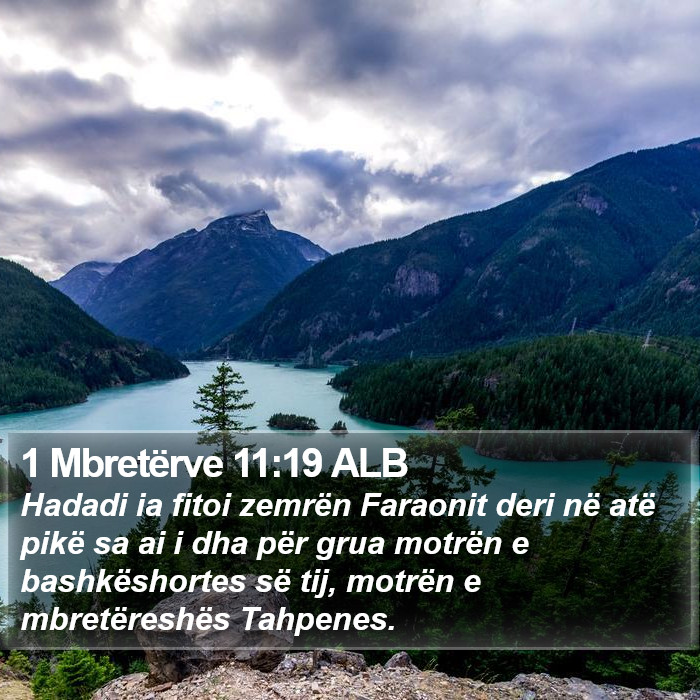 1 Mbretërve 11:19 ALB Bible Study