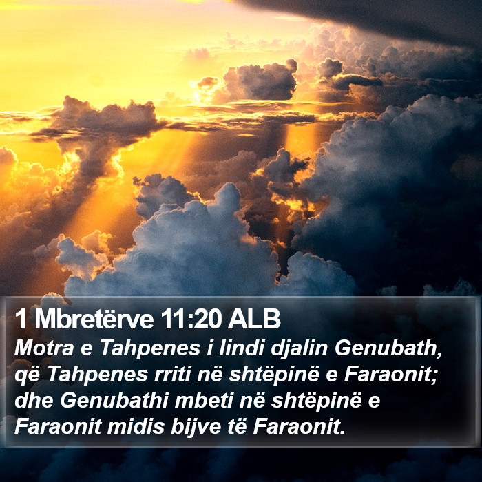 1 Mbretërve 11:20 ALB Bible Study