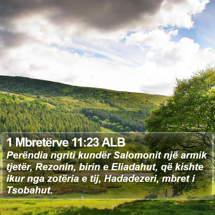 1 Mbretërve 11:23 ALB Bible Study