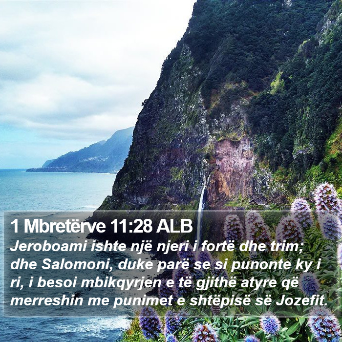 1 Mbretërve 11:28 ALB Bible Study