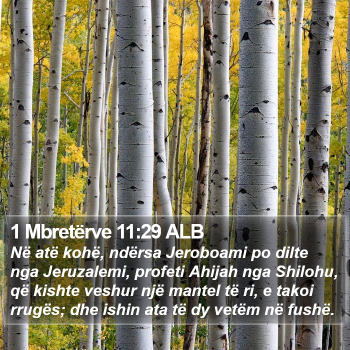 1 Mbretërve 11:29 ALB Bible Study