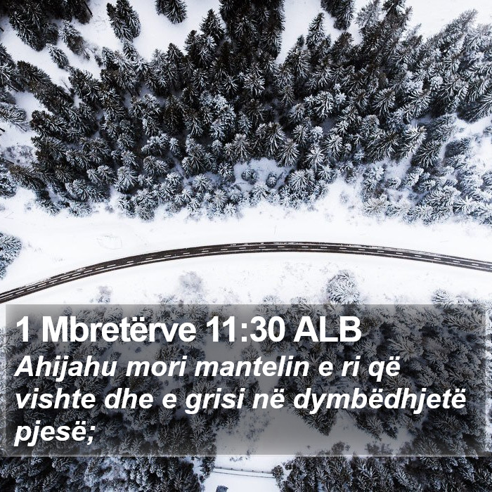 1 Mbretërve 11:30 ALB Bible Study