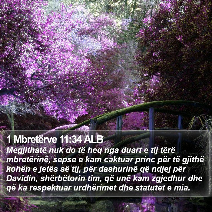 1 Mbretërve 11:34 ALB Bible Study