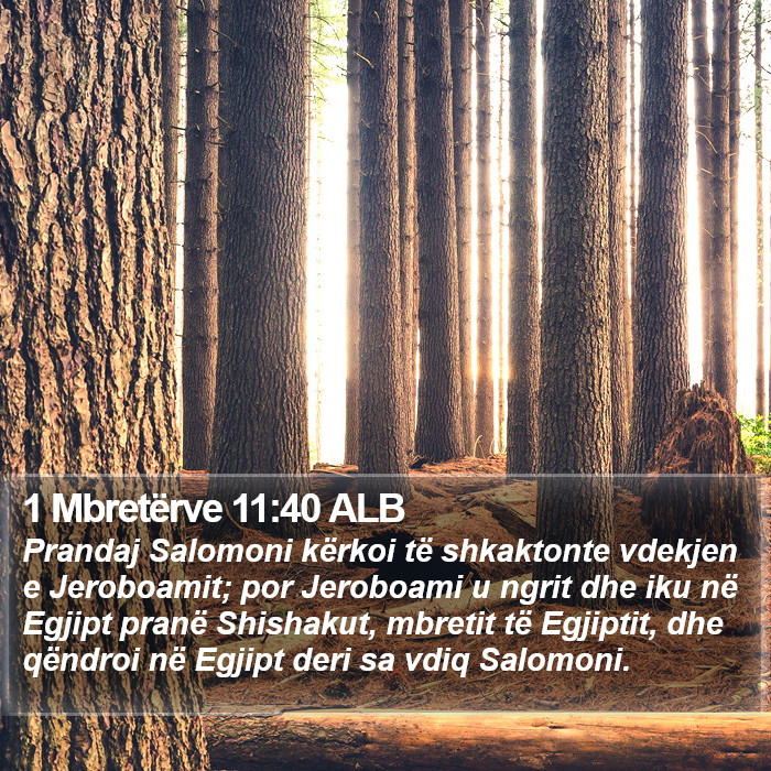 1 Mbretërve 11:40 ALB Bible Study