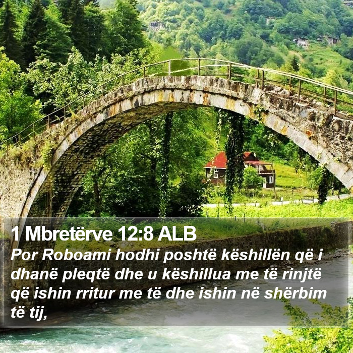 1 Mbretërve 12:8 ALB Bible Study