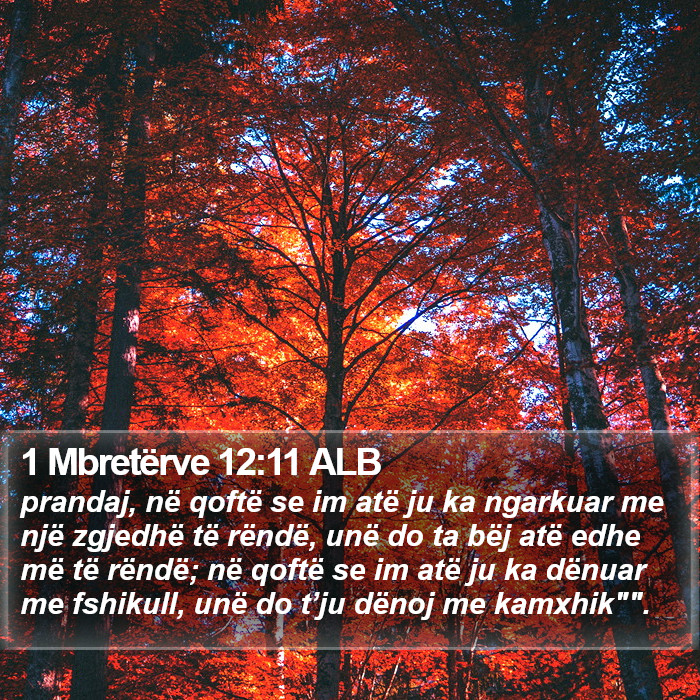 1 Mbretërve 12:11 ALB Bible Study