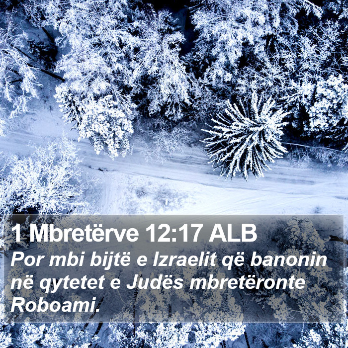 1 Mbretërve 12:17 ALB Bible Study