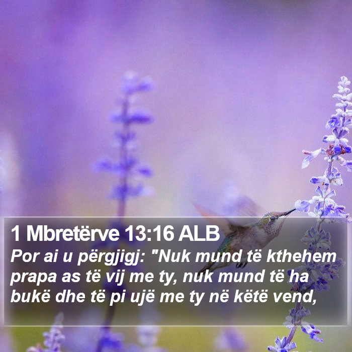 1 Mbretërve 13:16 ALB Bible Study