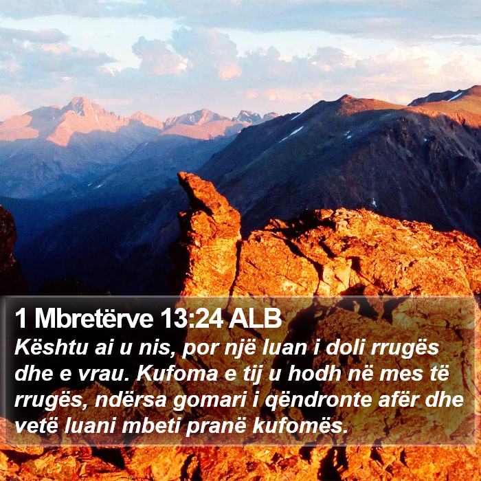 1 Mbretërve 13:24 ALB Bible Study