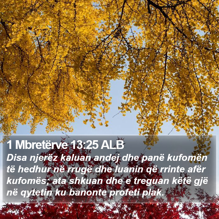 1 Mbretërve 13:25 ALB Bible Study