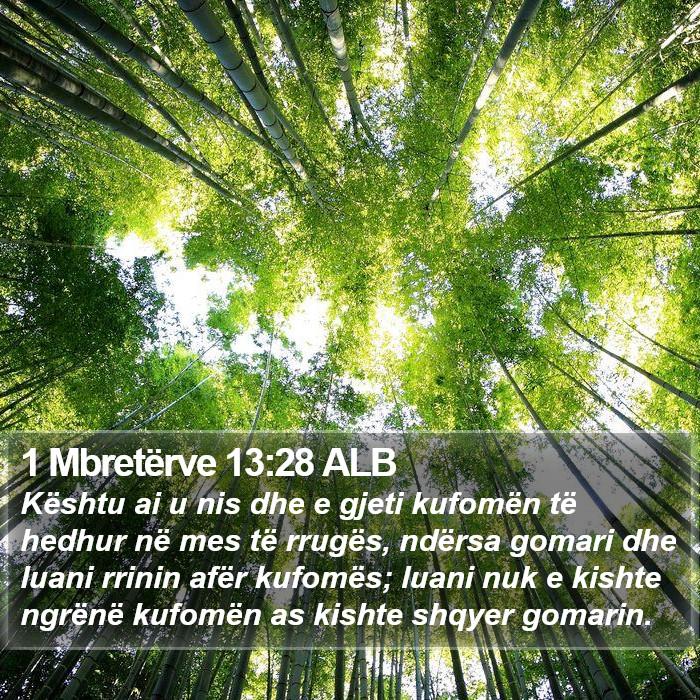 1 Mbretërve 13:28 ALB Bible Study