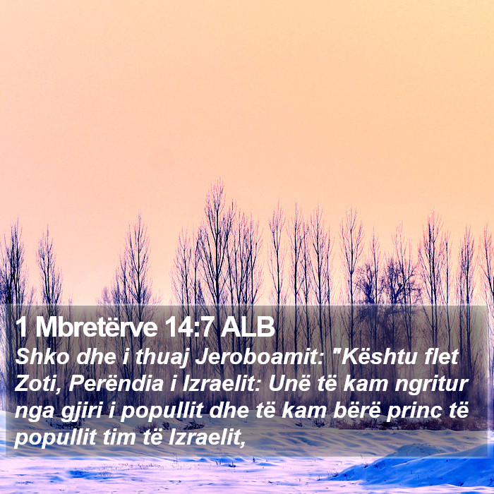 1 Mbretërve 14:7 ALB Bible Study