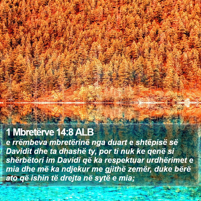 1 Mbretërve 14:8 ALB Bible Study