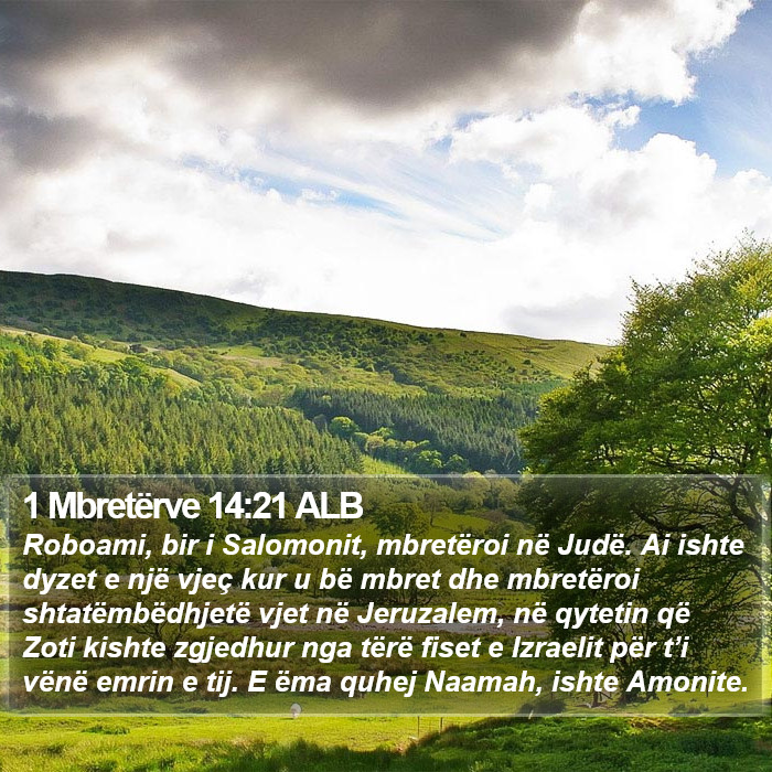 1 Mbretërve 14:21 ALB Bible Study