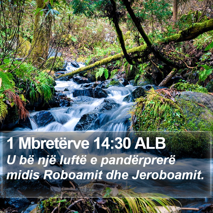 1 Mbretërve 14:30 ALB Bible Study