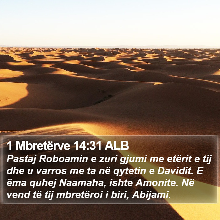 1 Mbretërve 14:31 ALB Bible Study